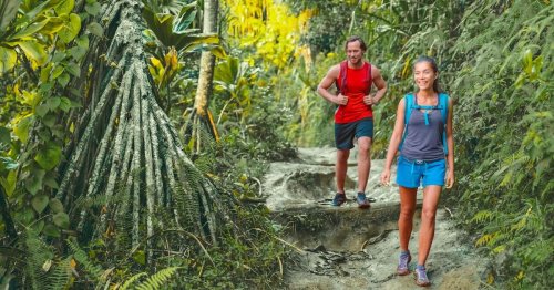 Hawaii’s New Tourist Green Fee Signals a New Era of Climate Accountability and Ethical Tourism