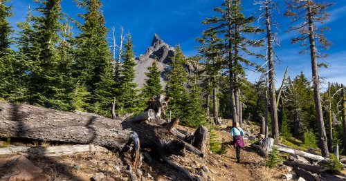 This Exclusive List of Uncrowded Hiking Trails Is Only Available if You Sign an NDA