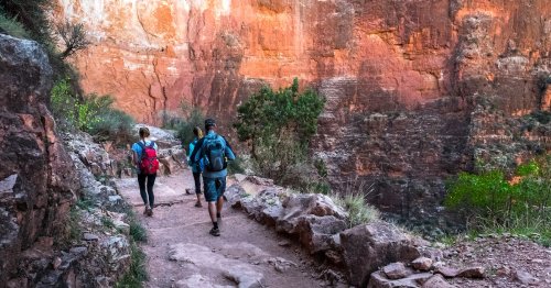 A ‘Rampant’ Disease Outbreak Is Making Hikers and Tourists Sick in the Grand Canyon