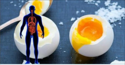 The Boiled Egg Diet – Lose 24 Pounds In Just 2 Weeks – Matador Creators