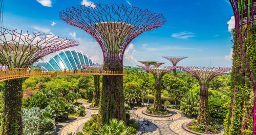 How To Experience Gardens by the Bay, Home To the Largest Glass Greenhouse in the World