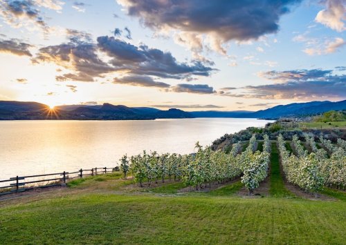 On a Trip to Penticton, BC, Fun Is Guaranteed — and Totally Tariff-Free