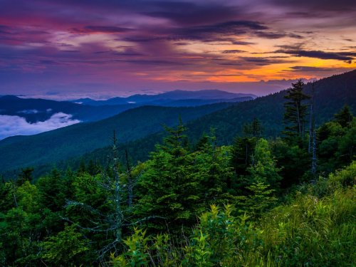 The 9 Best Great Smoky Mountains National Park Hotels, Starting at $71