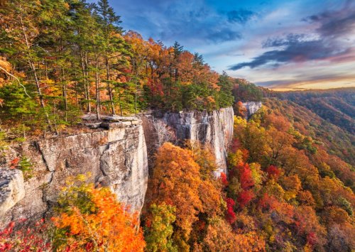 West Virginia Will Pay Remote Workers $12,000 To Move There | Flipboard