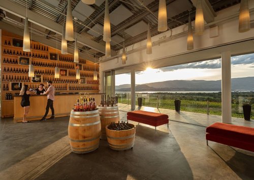 Kelowna’s Best Wineries and Beyond: Plan Your Perfect Fall Trip