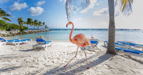 Why You Should Look To Aruba for Your Next Relaxing, Culturally Immersive Caribbean Vacation