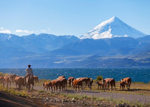 8 Lessons You Learn in Patagonia