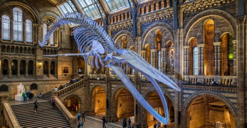 The Best Museums in London for Every Type of Traveler