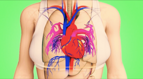 A Month Before a Heart Attack, Your Body Will Warn You With These 8 Signals – Matador Creators