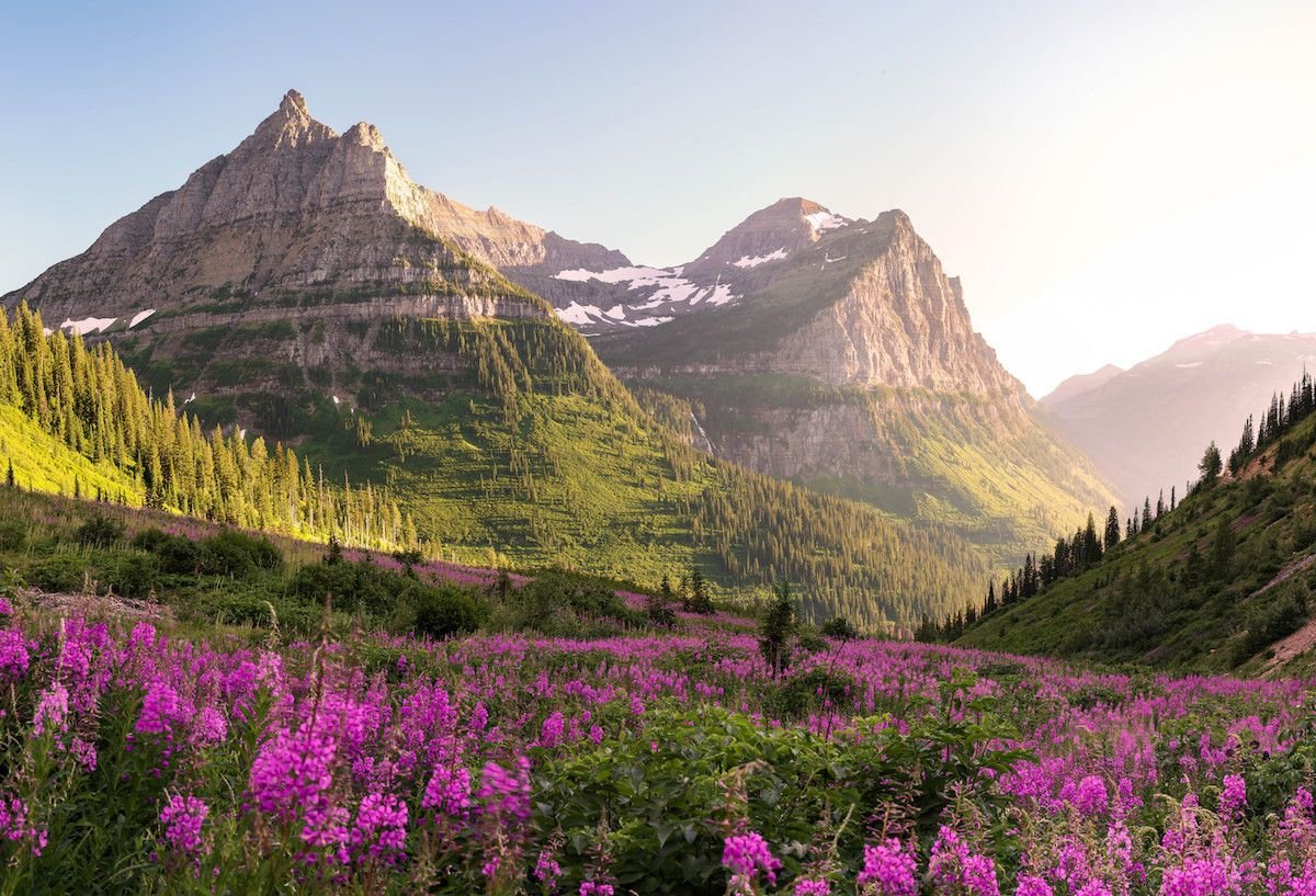 5 Epic Spots in Glacier National Park Without Any Crowds