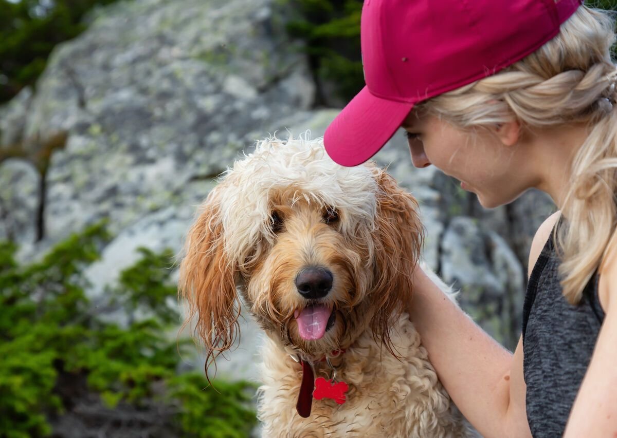 All the Gear You Need To Have Epic Outdoor Adventures With Your Dog