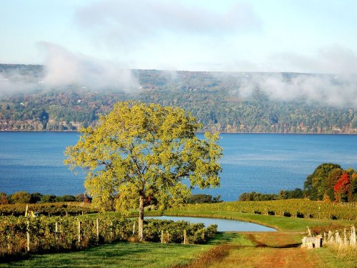 10 Finger Lakes Wineries To Visit on a Fall Getaway