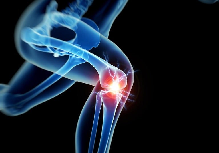 Knee - cover