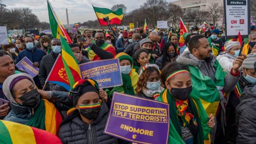 Ethiopian diaspora torn by ethnic tensions in Tigray war