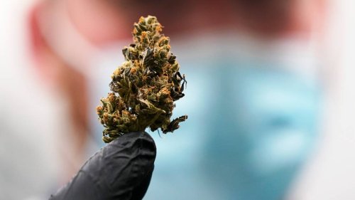 Marijuana can have lasting impact on decision-making, problem-solving skills, study says