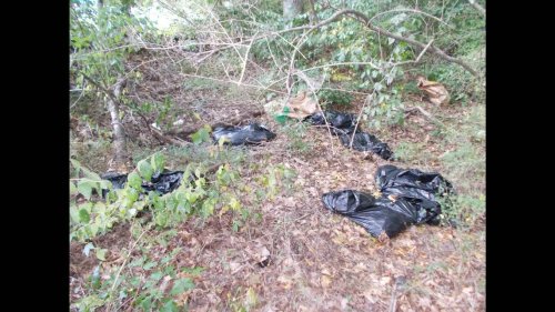 Bags full of animal heads and carcasses found near Georgia neighborhood, police say