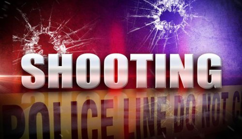 RCSO: Shooting on Wheeless Road leaves one person dead