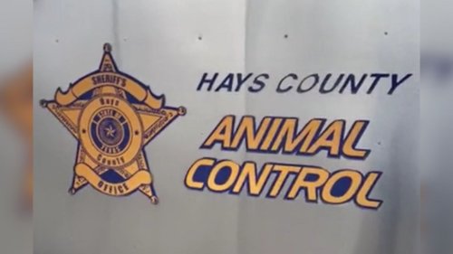 Hays County Animal Control struggles to keep pace with population growth