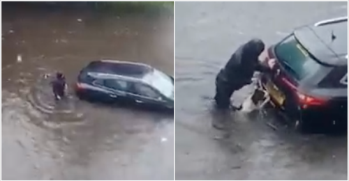 Amazing dog helps his owner push the vehicle out of flood water