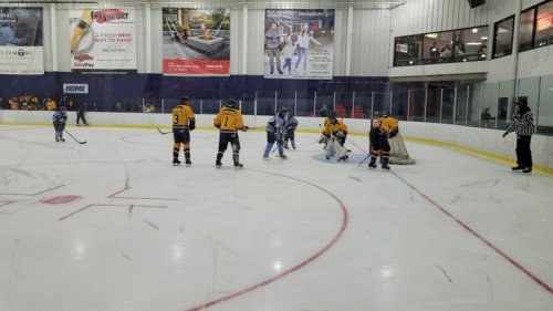 Rochester Friendship Festival with members of the American Special Hockey Association