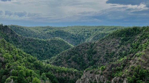 Die 10 schönsten Foto-Hotspots im Harz | MDR.DE