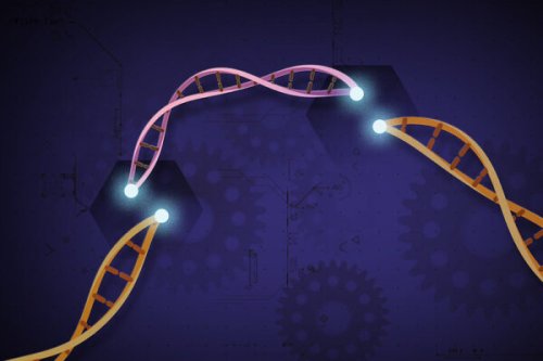New data for Intellia’s CRISPR therapy shows potential for one-time treatment of a rare disease
