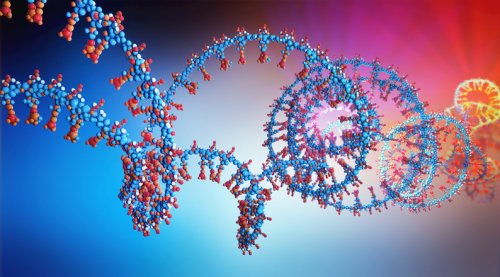Why RNA is a better measure of a patient’s current health than DNA - MedCity News