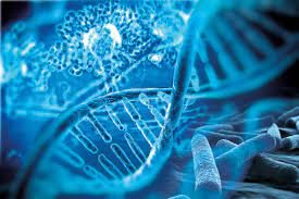 Molecular Diagnostics Market Report, Size, Trends, Global Industry Overview, CAGR of 8.57%, Top Companies Revenue, Merger, Regional Outlook by 2027 | Medgadget