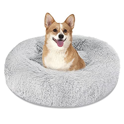 Calming dog bed for small dogs
