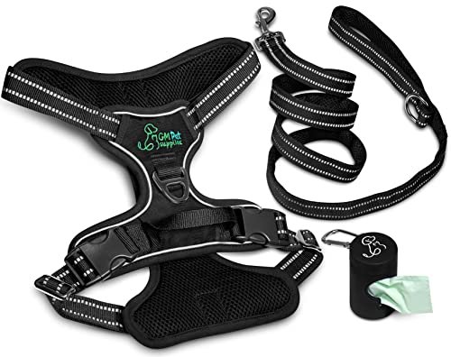 Dog harness walking kit and leash set