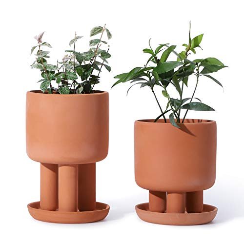 Terracotta succulent pots