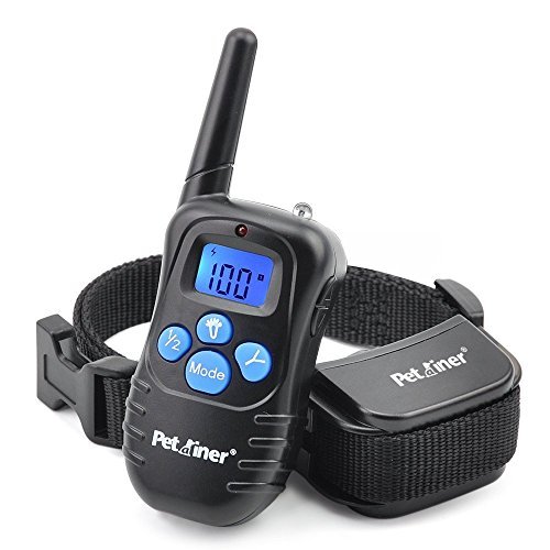 Rechargeable dog training collar