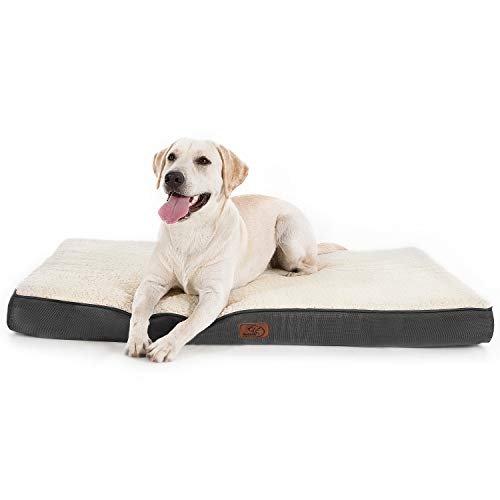 Memory foam bed for large dogs