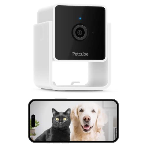 Pet owners can check in on their furry friends with the Petcube camera