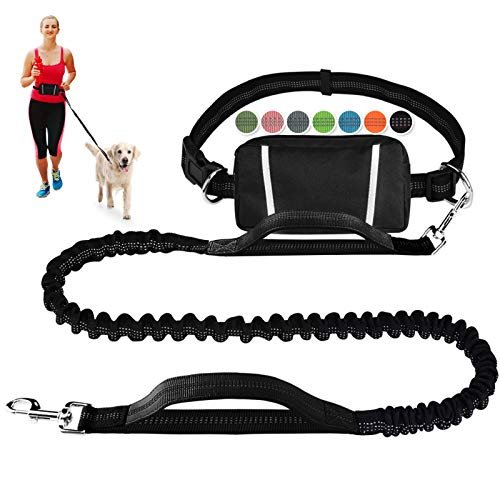 Hands-free dog leash