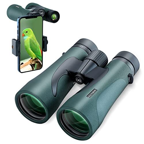 HD Binoculars with phone adapter