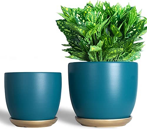 Cool blue planter pots