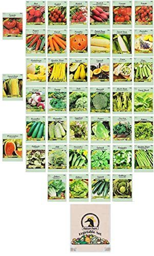 Set of 43 Assorted Vegetable & Herb Seeds