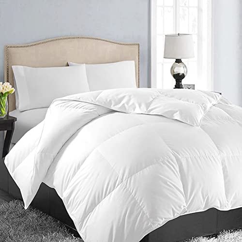 EASELAND All Season Queen Size Soft Quilted Down Alternative Comforter Reversible Duvet Insert with Corner Tabs,Winter Summer Warm Fluffy,White,88x88 inches