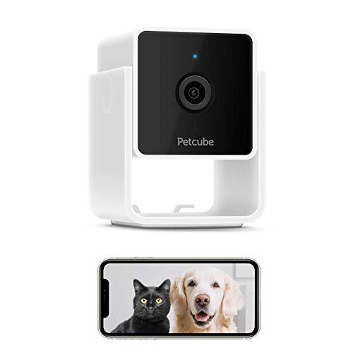 Pet owners can check in on their furry friends with the Petcube camera