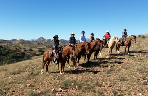 Những Trang Trại Nổi Bật Với Trải Nghiệm Cưỡi Ngựa Tại Arizona