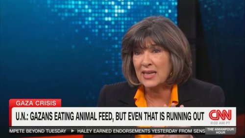 ‘Let Me Just Stop You’: Christiane Amanpour Shocked When Guest Claims Starving Gazans are Eating Animal Feed