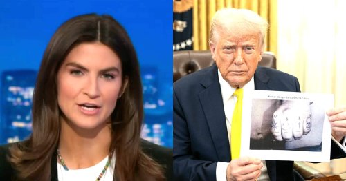 CNN’s Kaitlan Collins Calls Out Trump’s ‘Doctored’ Photo Of Wrongly Deported Man — Shows It To His Lawyer