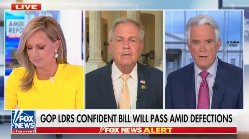 ‘It’s Only 99 Pages’: Fox Anchor Tells Grumbling House Republican He Has 72 Hours to Read Relatively Short Bill