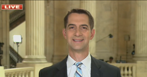 Tom Cotton Says Congress Should Ban Any Future Attempts at Disinformation Boards: ‘Good They Finally Came to Their Senses’