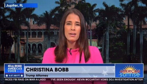 Trump Lawyer, Former OAN Host Christina Bobb Under Fire After ...
