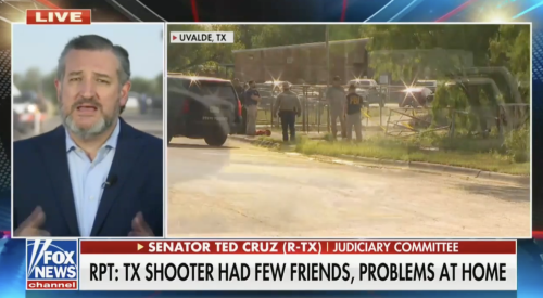 Ted Cruz Floats Door Control to Prevent School Shootings: 'Have One Door' With 'Armed Police Officers'