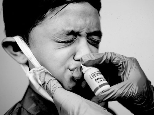 Nasal COVID-19 vaccines: What you need to know