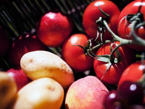 Cancer treatment: How potatoes and tomatoes could lead to new drugs
