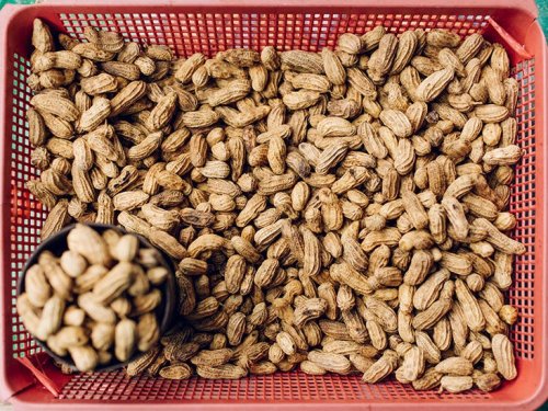 are-peanuts-good-or-bad-for-cholesterol-flipboard